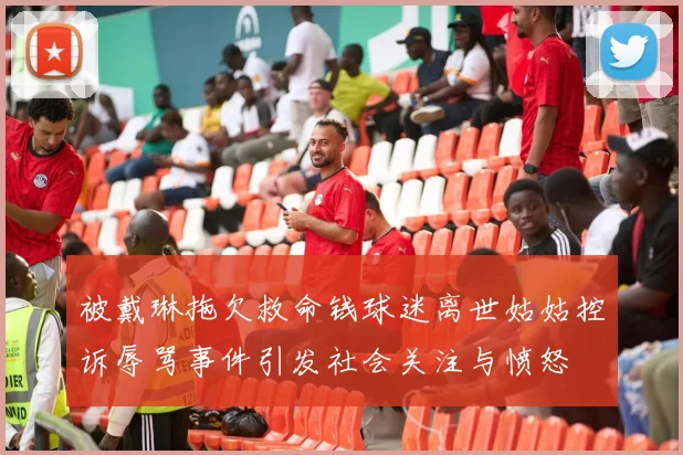 被戴琳拖欠救命钱球迷离世姑姑控诉辱骂事件引发社会关注与愤怒
